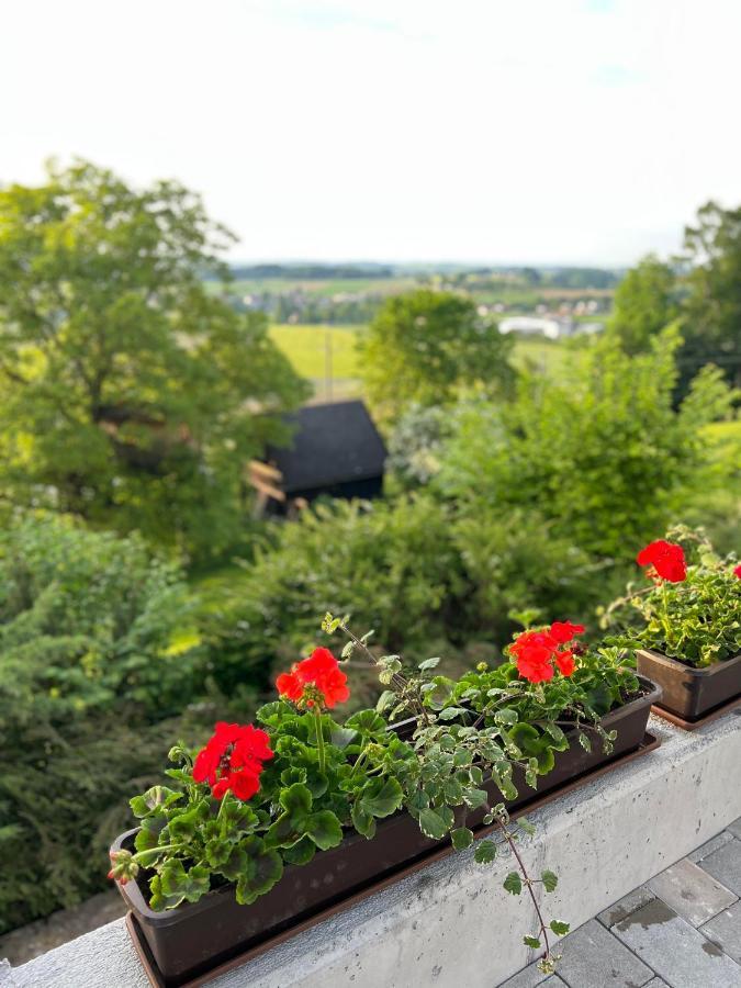 Gruenberg Apartments Gmunden Kültér fotó